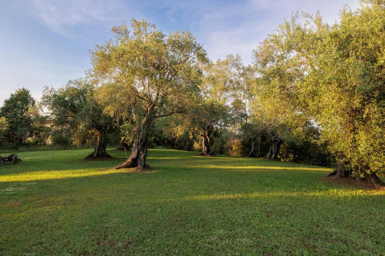 Triklino Estate Villa Afra Ngoại thất bức ảnh